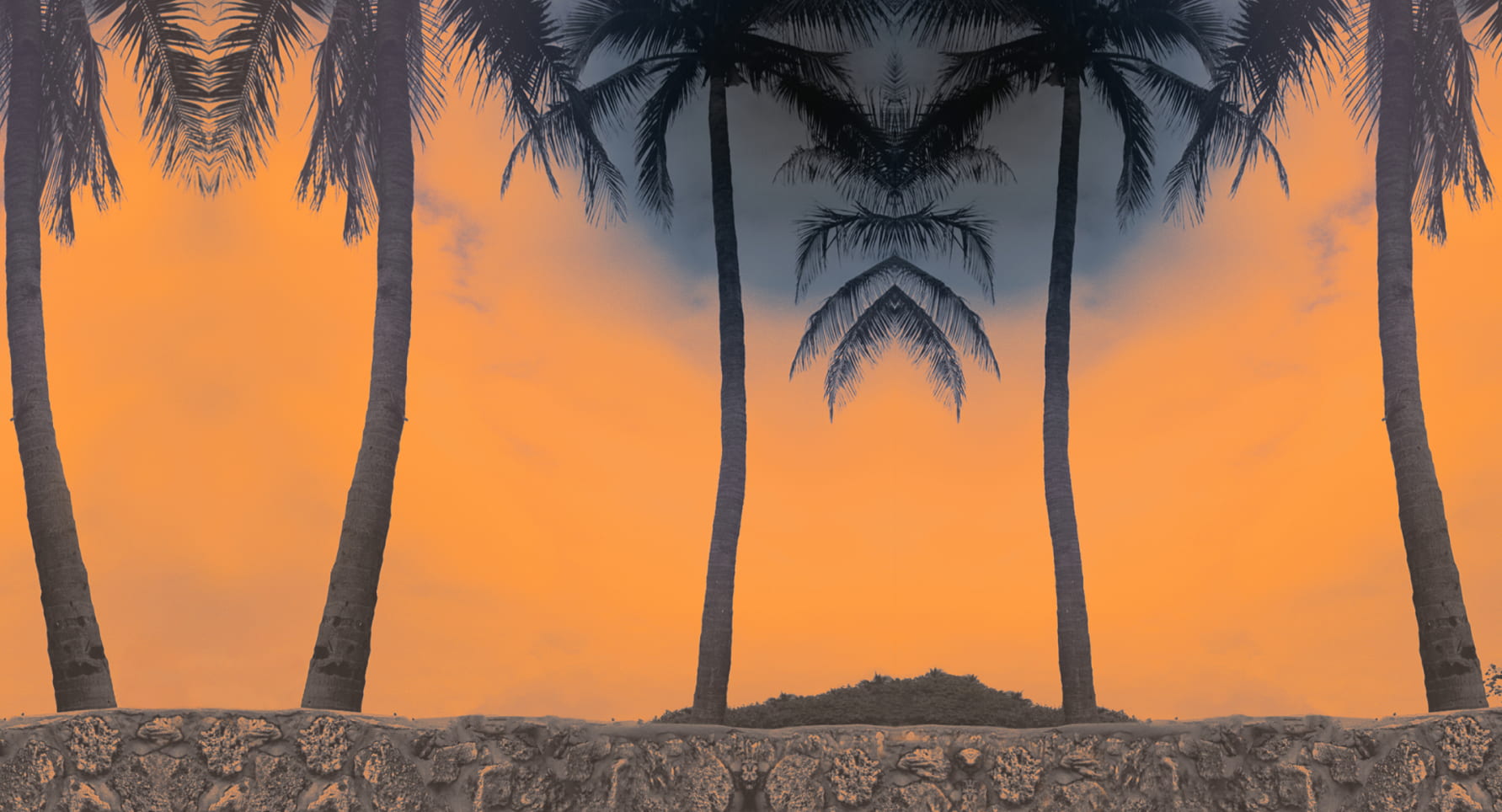 a small wall in front of palm trees. orange sky.