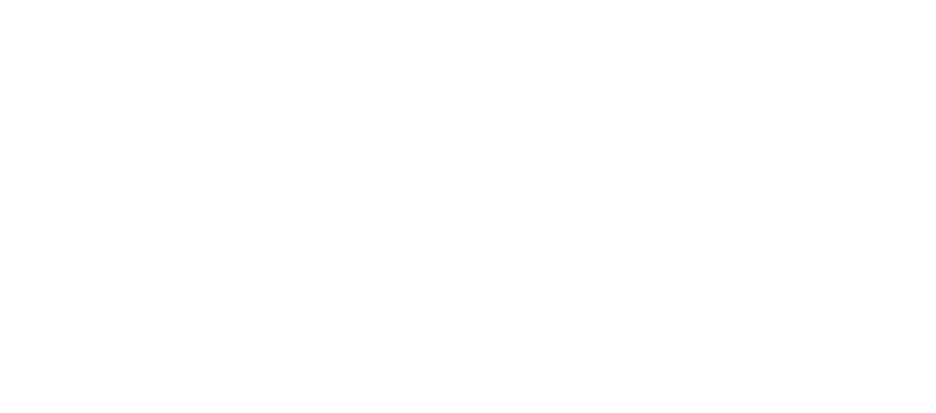 paranoid society