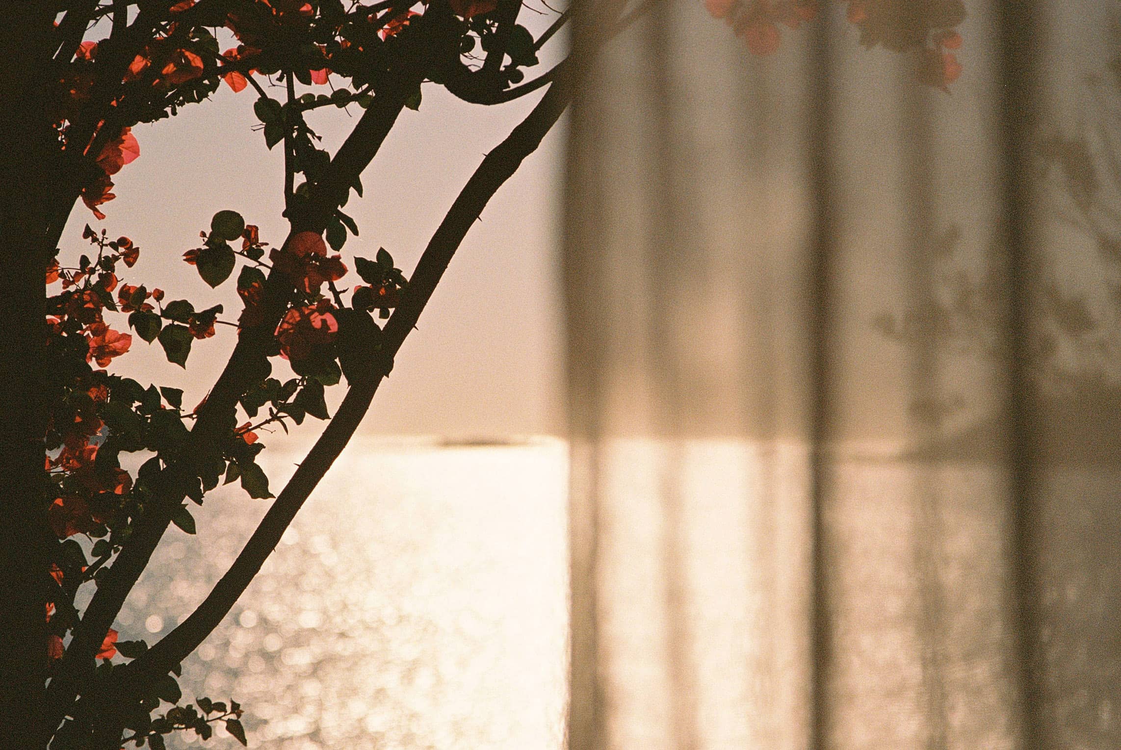 landscape photograph