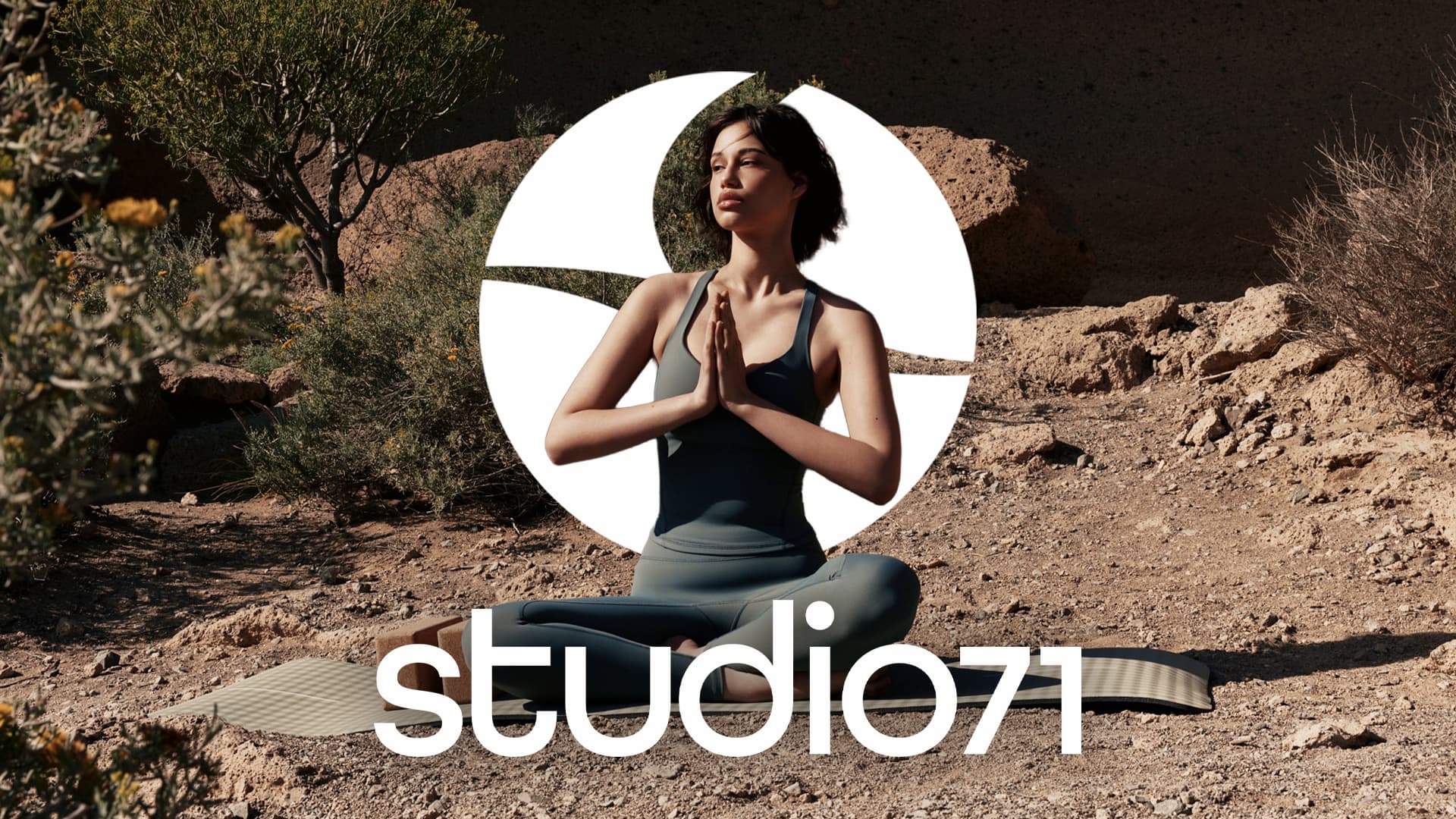 studio71 | Women's Sportswear & Activewear | NEW YORKER