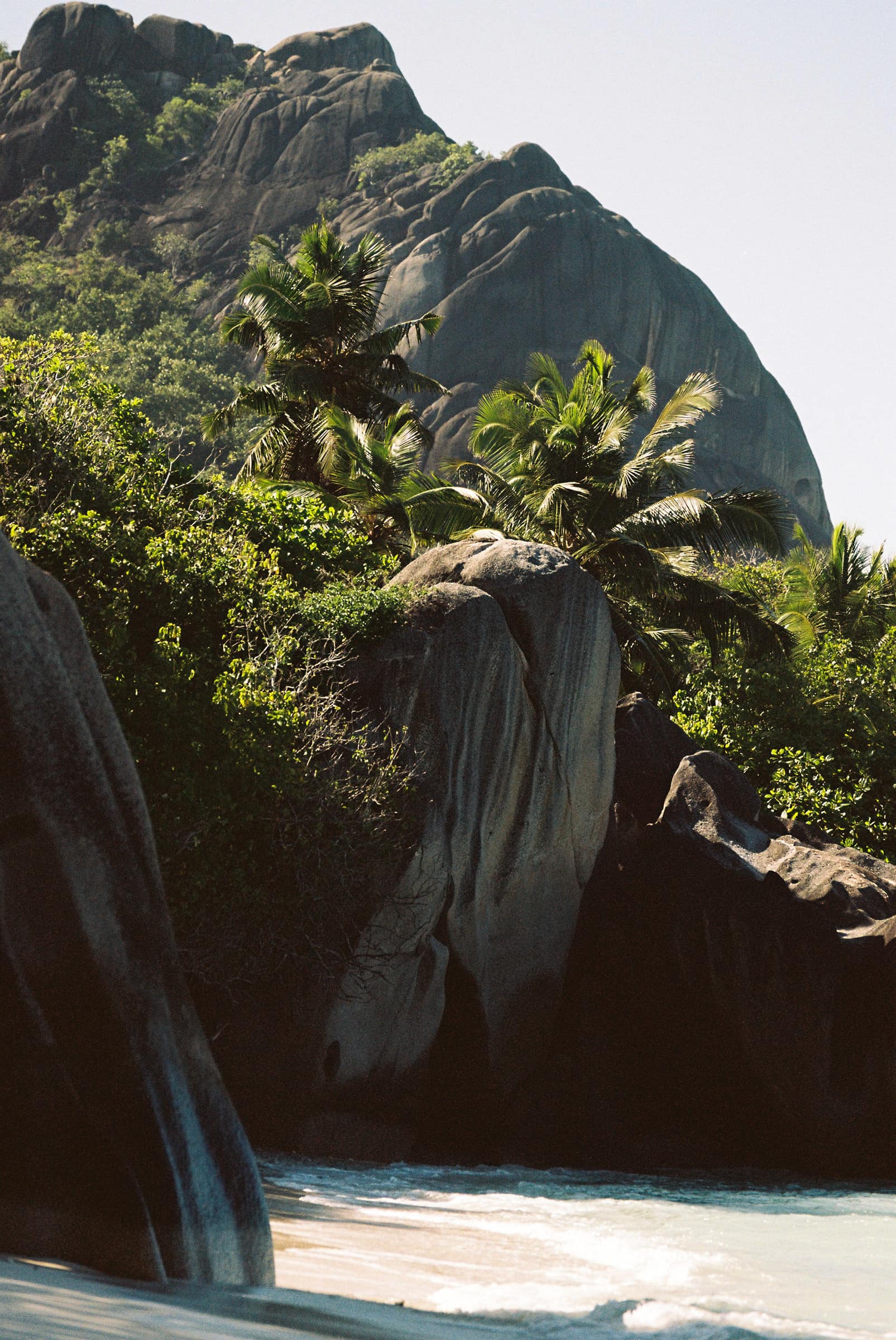 sunset at beach, palms